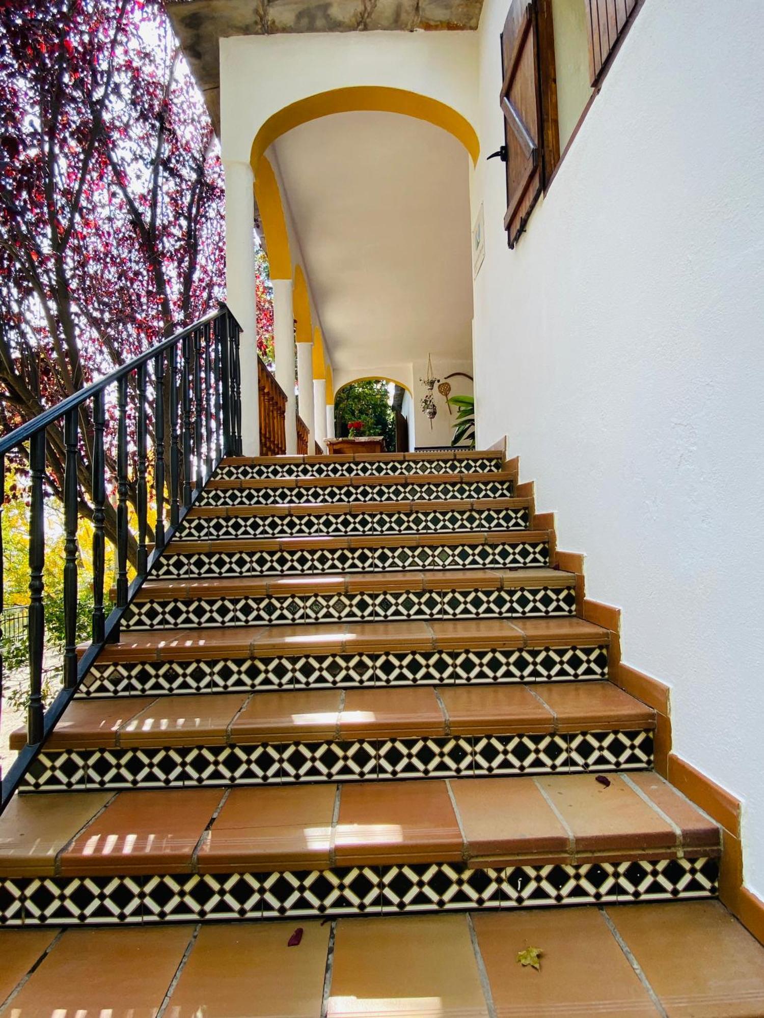 Laroles Barranco De La Saludゲストハウス 部屋 写真